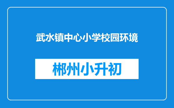 武水镇中心小学校园环境