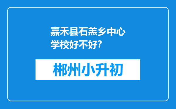 嘉禾县石羔乡中心学校好不好？