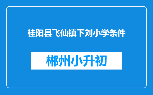 桂阳县飞仙镇下刘小学条件