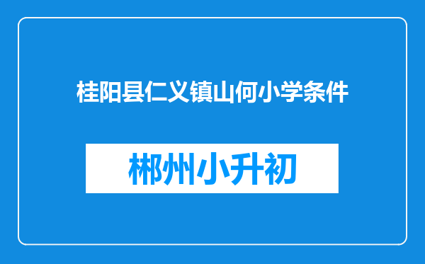 桂阳县仁义镇山何小学条件