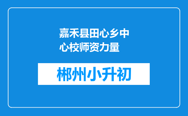 嘉禾县田心乡中心校师资力量