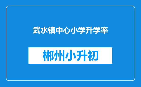 武水镇中心小学升学率