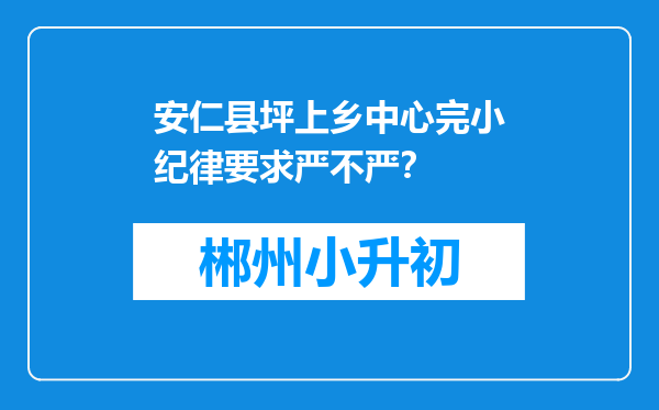 安仁县坪上乡中心完小纪律要求严不严？