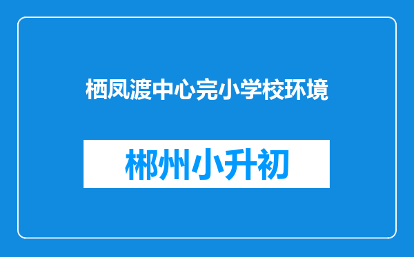 栖凤渡中心完小学校环境