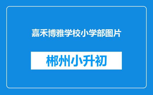 嘉禾博雅学校小学部图片