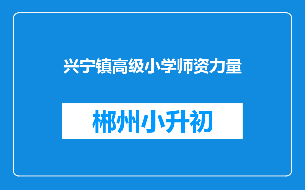 兴宁镇高级小学师资力量