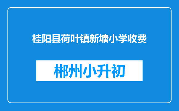 桂阳县荷叶镇新塘小学收费