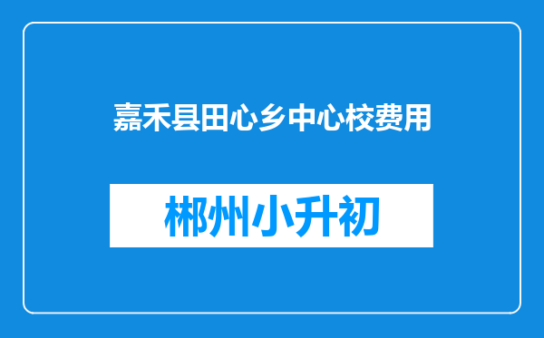 嘉禾县田心乡中心校费用