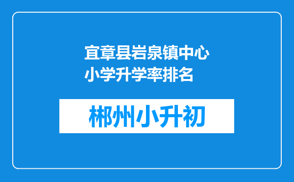 宜章县岩泉镇中心小学升学率排名