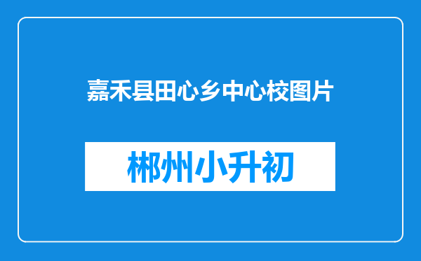 嘉禾县田心乡中心校图片