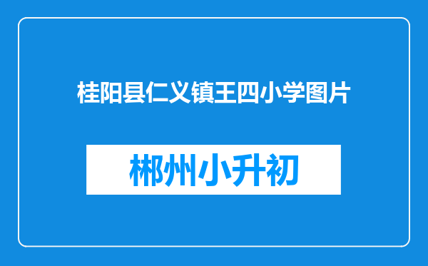 桂阳县仁义镇王四小学图片