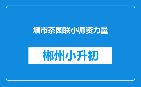 塘市茶园联小师资力量