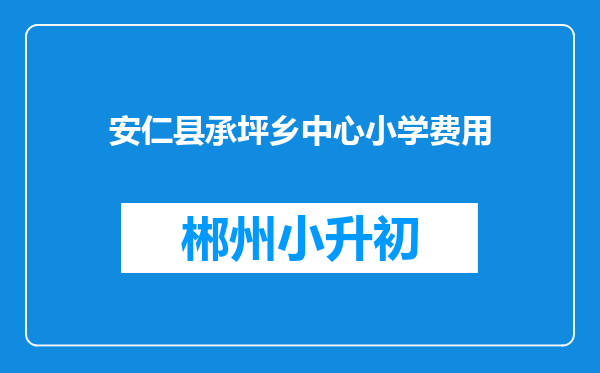 安仁县承坪乡中心小学费用