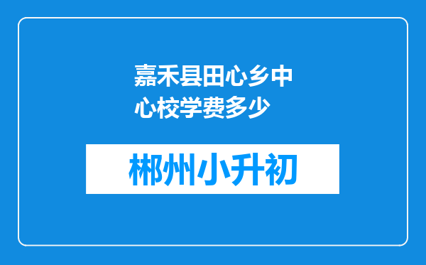 嘉禾县田心乡中心校学费多少