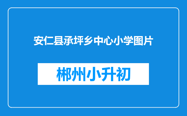 安仁县承坪乡中心小学图片