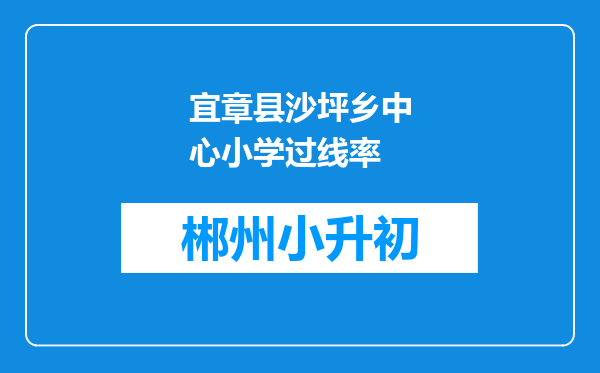 宜章县沙坪乡中心小学过线率