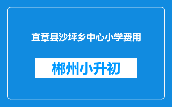 宜章县沙坪乡中心小学费用