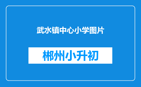 武水镇中心小学图片