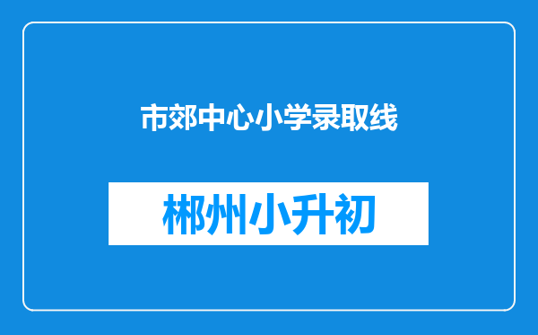 市郊中心小学录取线