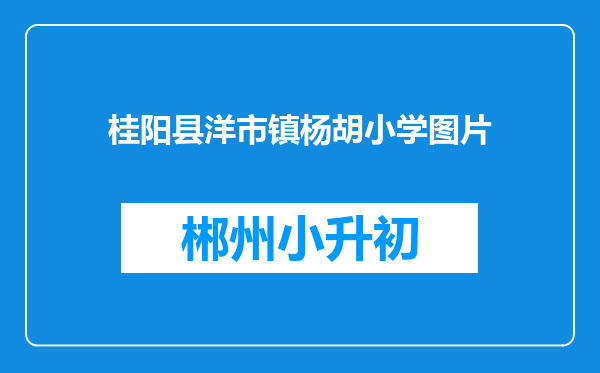 桂阳县洋市镇杨胡小学图片