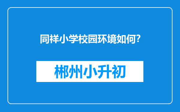 同祥小学校园环境如何？