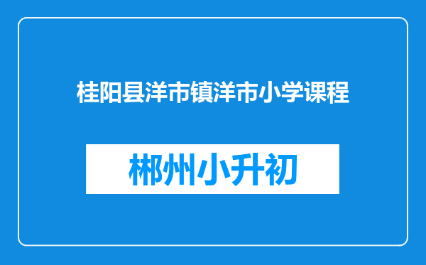 桂阳县洋市镇洋市小学课程