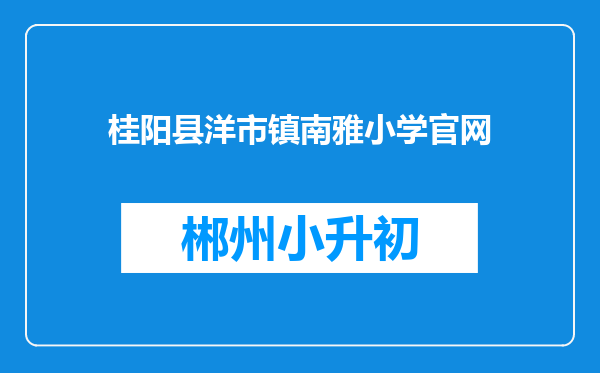 桂阳县洋市镇南雅小学官网