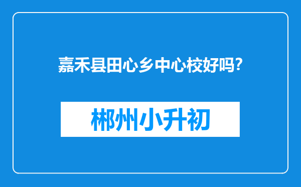 嘉禾县田心乡中心校好吗？