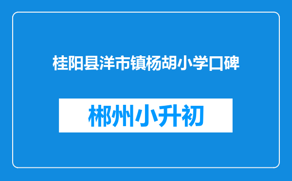 桂阳县洋市镇杨胡小学口碑