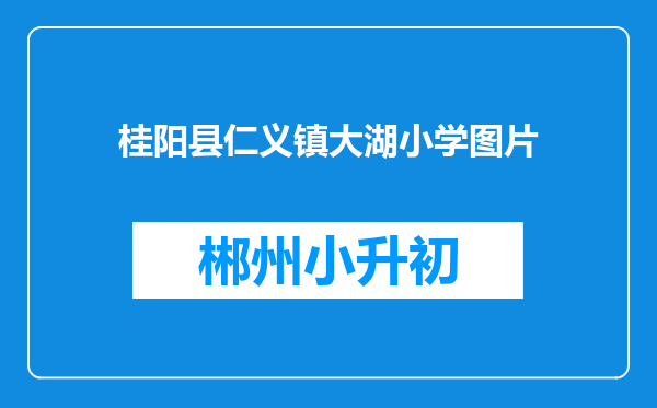 桂阳县仁义镇大湖小学图片