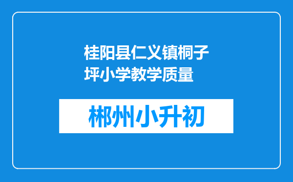 桂阳县仁义镇桐子坪小学教学质量