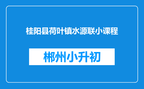 桂阳县荷叶镇水源联小课程