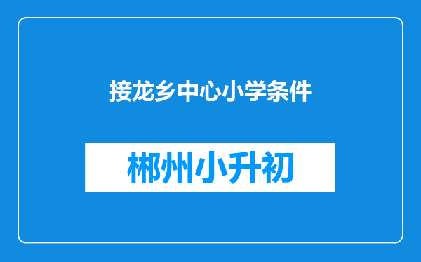 接龙乡中心小学条件