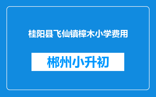 桂阳县飞仙镇樟木小学费用