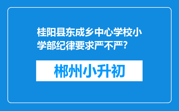 桂阳县东成乡中心学校小学部纪律要求严不严？