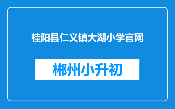 桂阳县仁义镇大湖小学官网