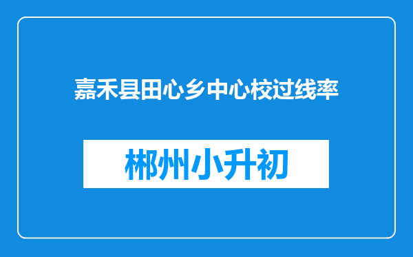 嘉禾县田心乡中心校过线率