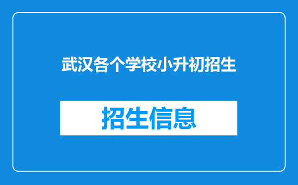 武汉各个学校小升初招生