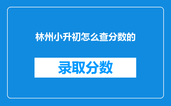 林州小升初怎么查分数的