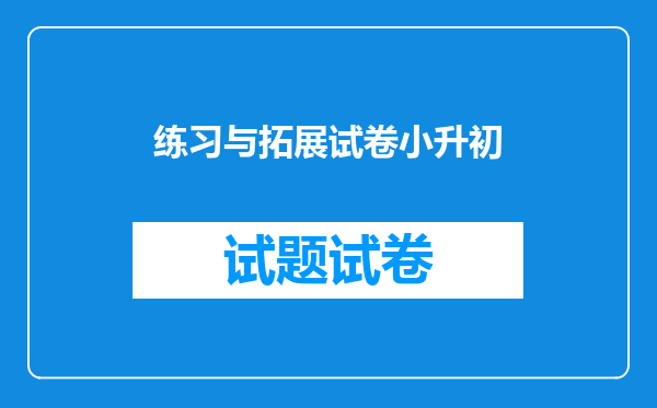 练习与拓展试卷小升初