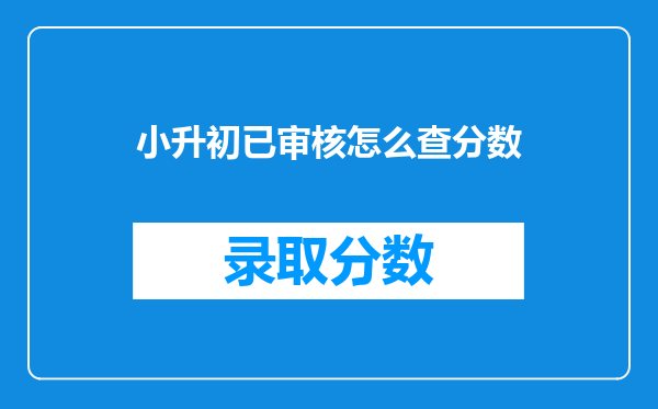 小升初已审核怎么查分数