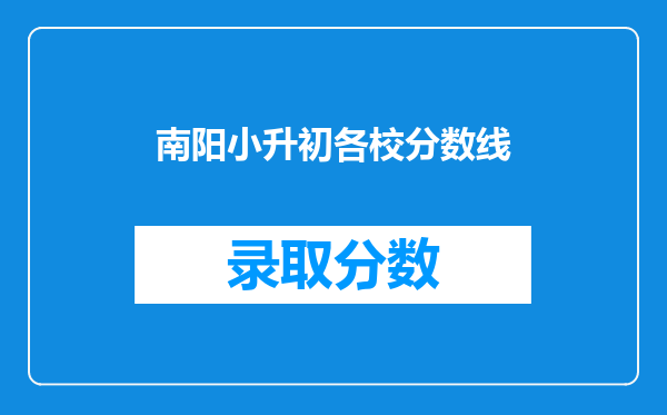 南阳小升初各校分数线