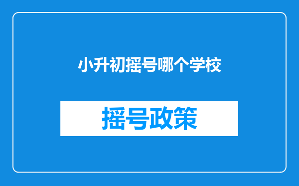 小升初摇号哪个学校