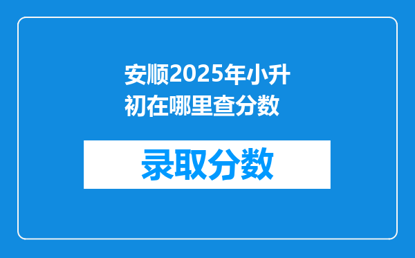 安顺2025年小升初在哪里查分数