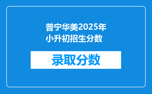 普宁华美2025年小升初招生分数