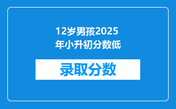 12岁男孩2025年小升初分数低