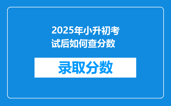 2025年小升初考试后如何查分数