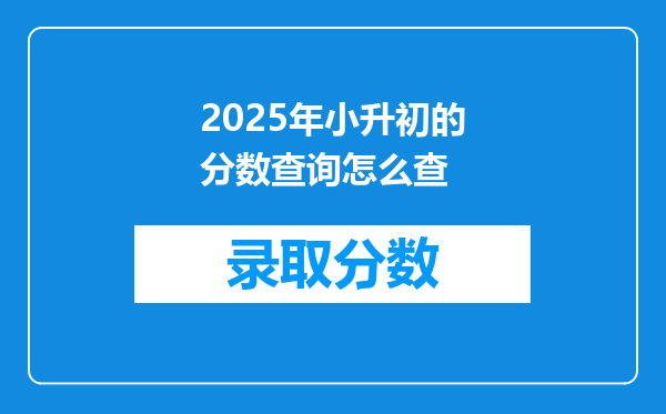 2025年小升初的分数查询怎么查