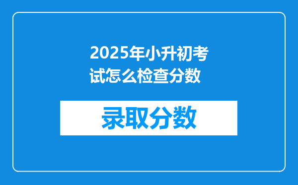 2025年小升初考试怎么检查分数