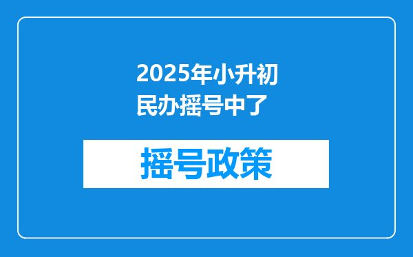 2025年小升初民办摇号中了